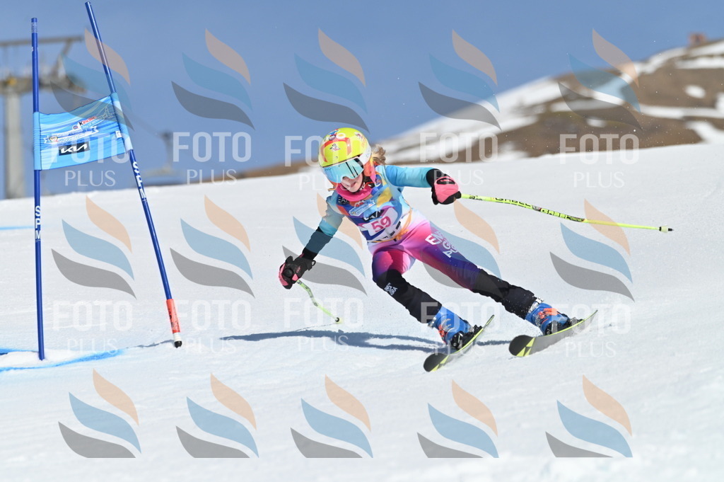 BGV_8709 | holidayphoto