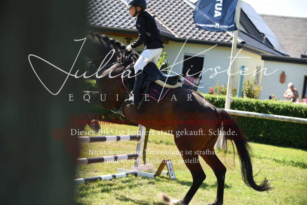 DSC_9372 | Pferde- und Turnierfotografie in Westsachsen. Pferdeportraits, Auftragszeichnungen und intuitive Kunst.