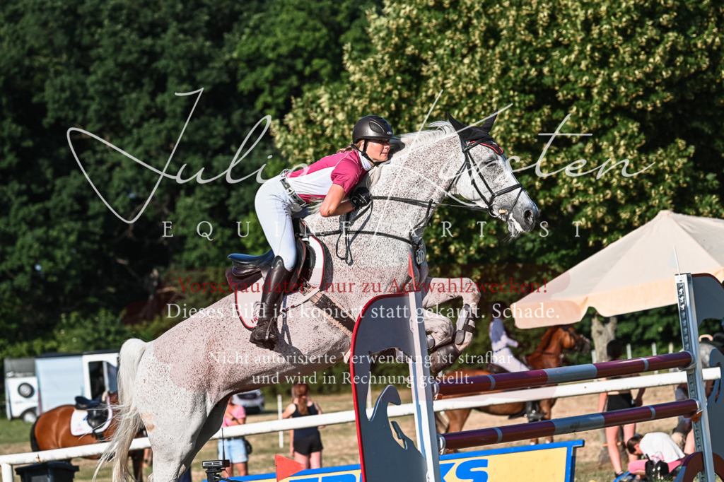 DSC_3014 | Pferde- und Turnierfotografie in Westsachsen. Pferdeportraits, Auftragszeichnungen und intuitive Kunst.