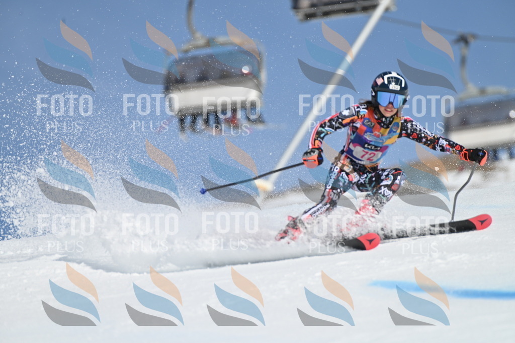 BGV_8941 | holidayphoto