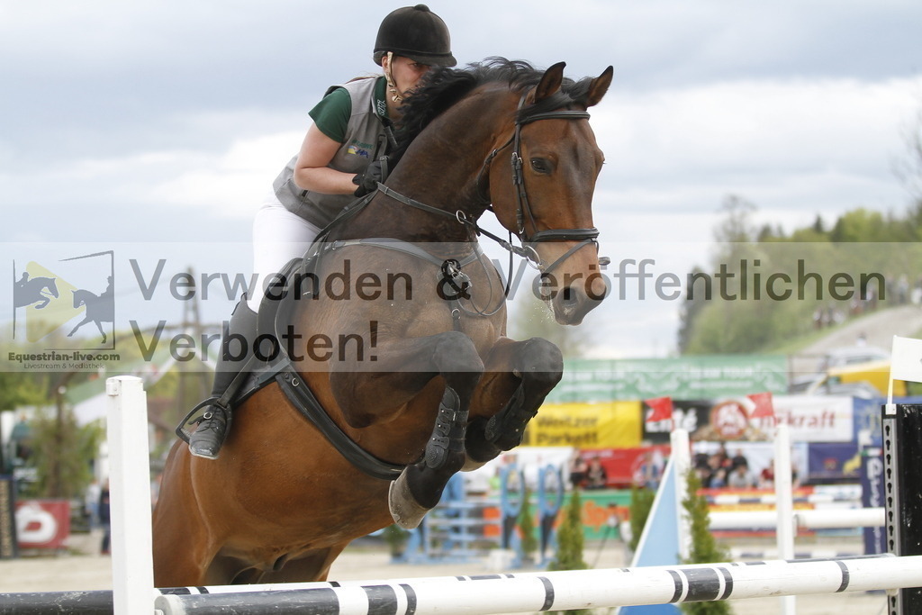 _MG_7693 | equestrian-live-com