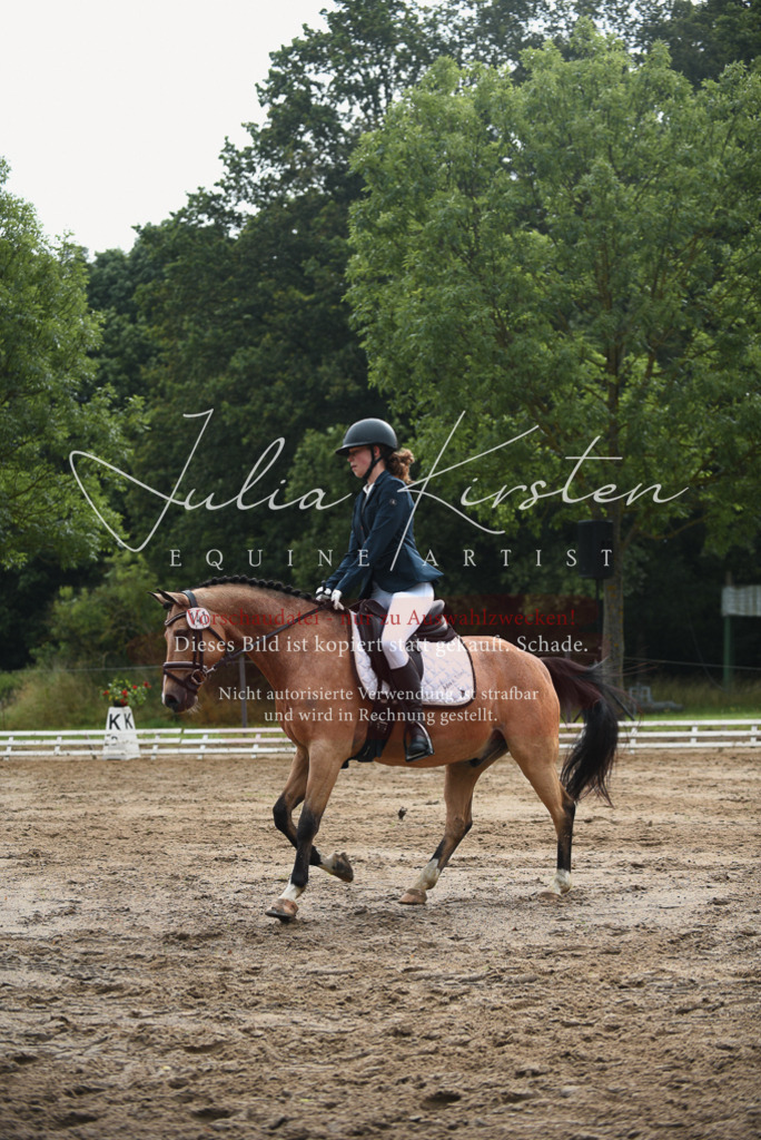 DSC_0076 | Pferde- und Turnierfotografie in Westsachsen. Pferdeportraits, Auftragszeichnungen und intuitive Kunst.