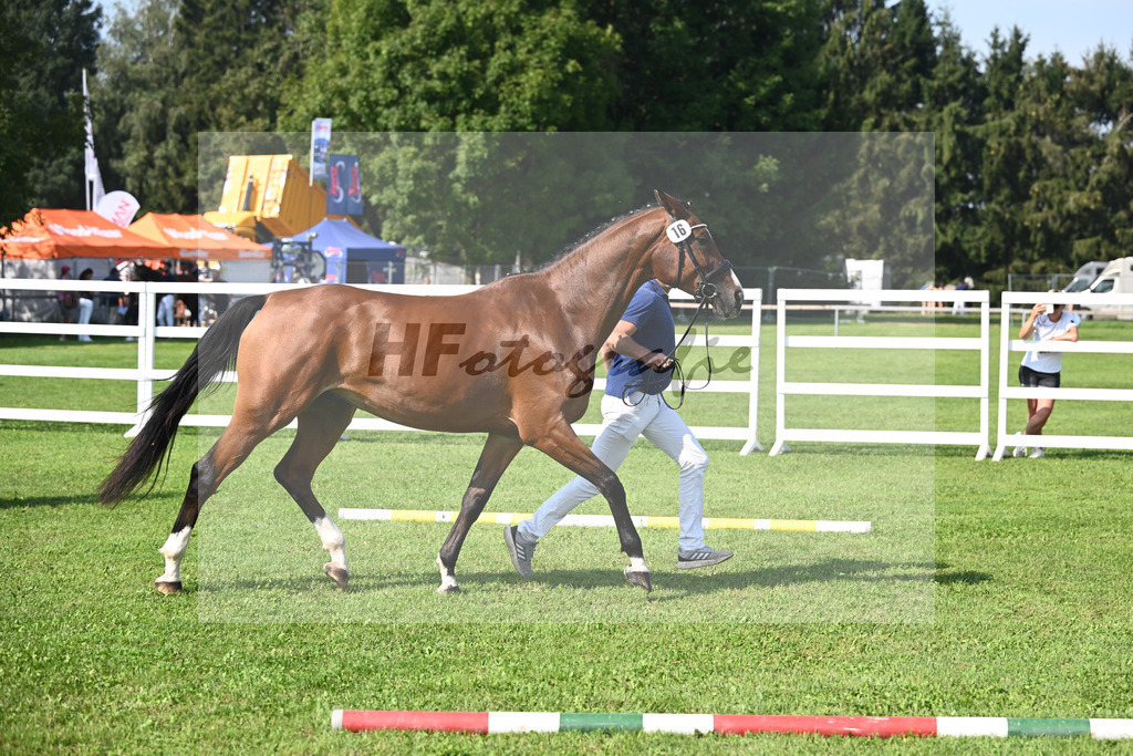 Kat-Nr. 16 Totytchella_Wimmer_34240362 | hf-fotografie - Realisiert mit Pictrs.com