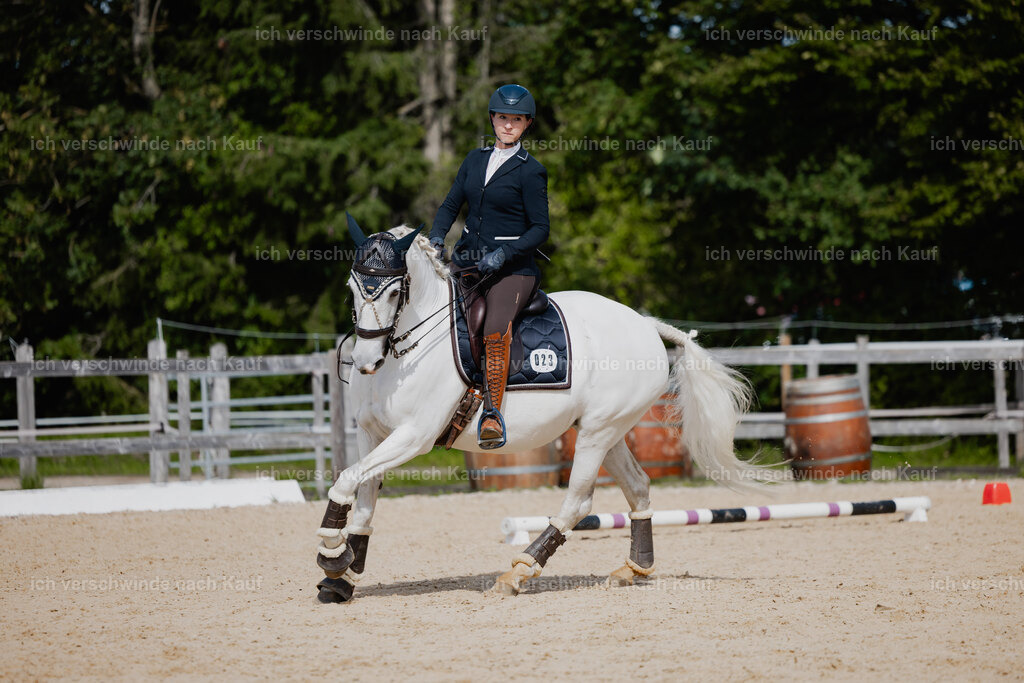 Steffi23_FHC2025-59 | working equitationturnier fotograf videograf stoibphotography marixx film working equitation deutschland reitsport turnierfotografie eventfotografie equestrian events
