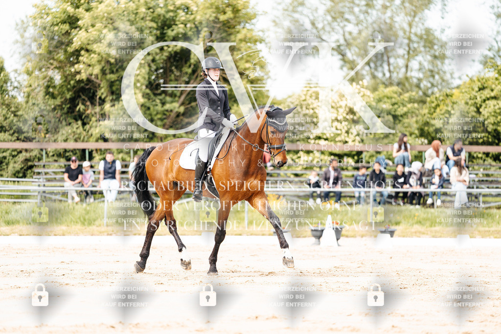 CK900761 | Turnierfotografie Pferdefotografie Trier Rheinland-Pfalz Pferdesport Reitsport Tierfotografie Sportfotografie Pferdevideo Pferdevideografie Equestrianvideography equestrianphotography  - Realisiert mit Pictrs.com