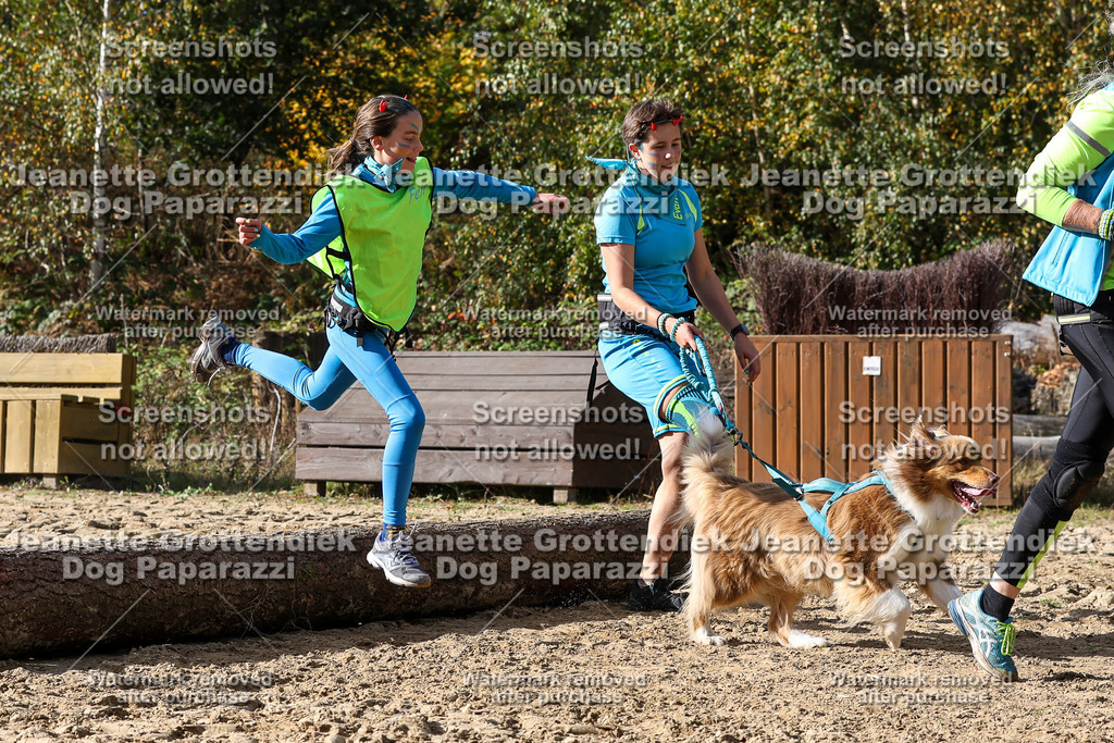 Dog Paparazzi - Strongdog 10-25-5606 | Dog Paparazzi Jeanette Grottendiek Fotografie & Videografie - Realisiert mit Pictrs.com