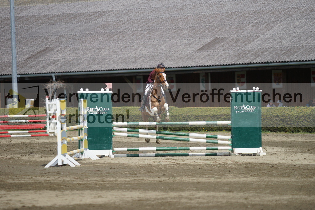DSC04203 | equestrian-live-com