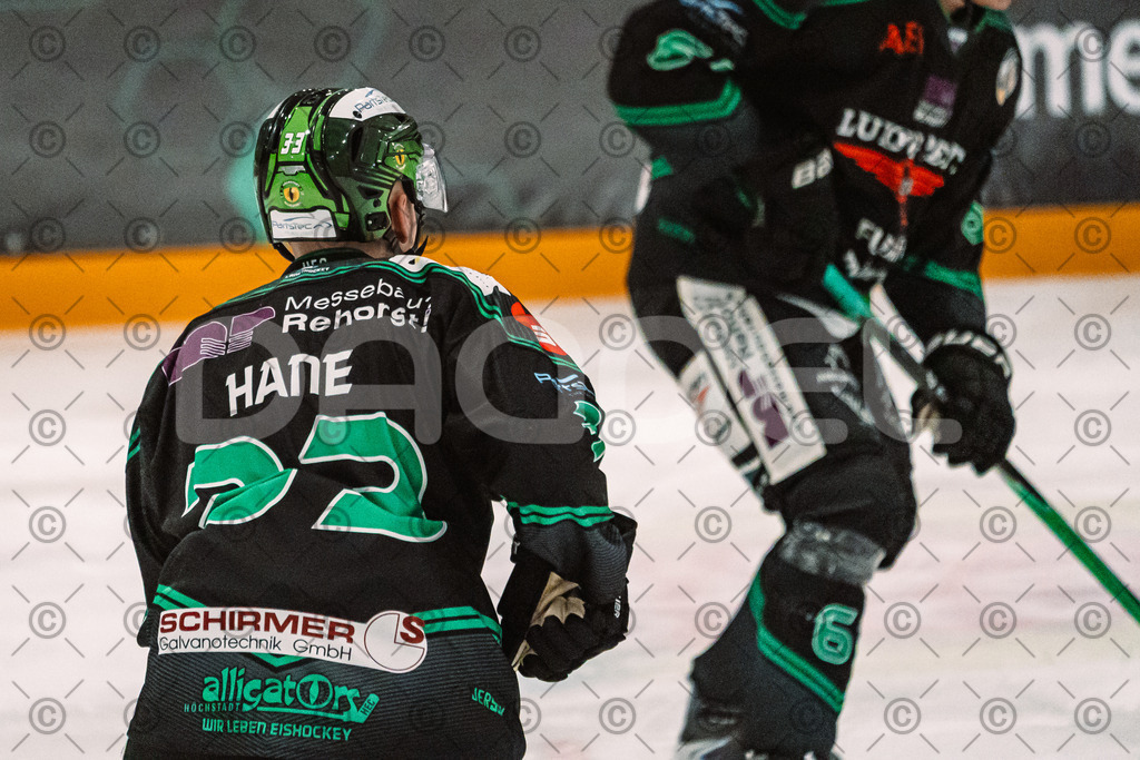 Alligators_vs_Erding_12_12_2025-050 | Höchstadt Alligators Fotogalerie: Eishockey-Action aus Franken. Professionelle Spielfotos, Portraits & Stadionbilder zum Download. Jetzt entdecken! - Realized with Pictrs.com