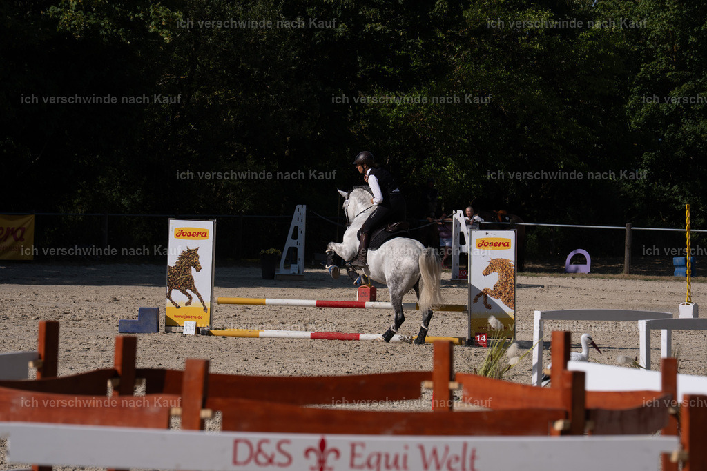 WS_SP_11_SinaFilmArt_IN09031 | working equitationturnier fotograf videograf stoibphotography marixx film working equitation deutschland reitsport turnierfotografie eventfotografie equestrian events