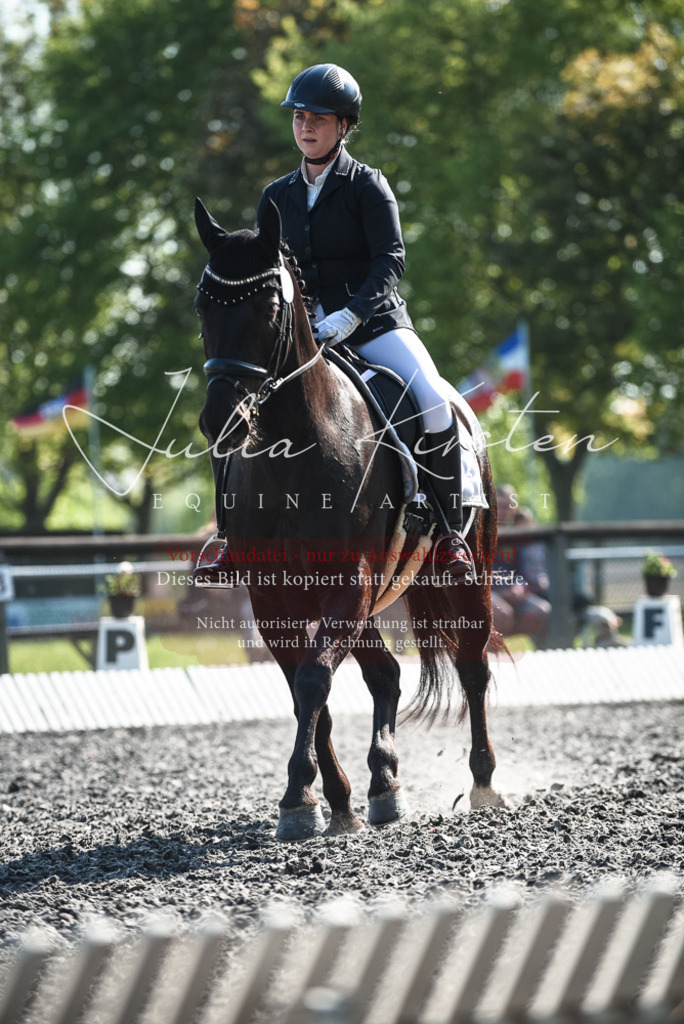 DSC_8607 | Pferde- und Turnierfotografie in Westsachsen. Pferdeportraits, Auftragszeichnungen und intuitive Kunst.