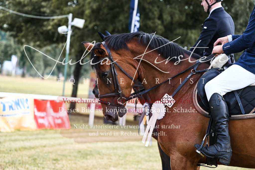 DSC_7659 | Pferde- und Turnierfotografie in Westsachsen. Pferdeportraits, Auftragszeichnungen und intuitive Kunst.