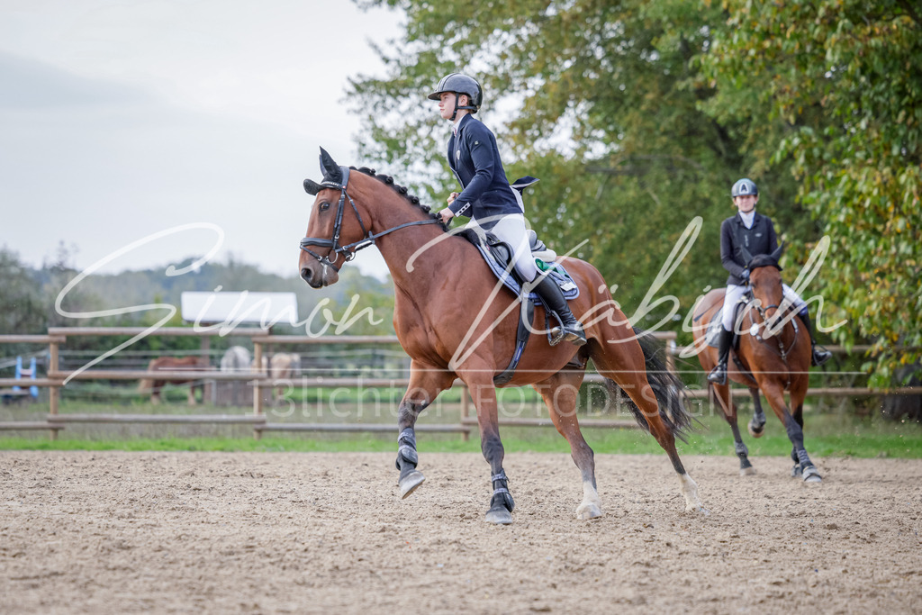 20251012-_3LI5461 | Tierfotografie Pferde, Hunde, Katzen, Haustiere.
Turnierfotografie Reitturniere, Reiten, Springreiten, Dressur in Hanau, dem Main-Kinzig-Kreis und dem Rhein-Main- Gebiet um Frankfurt