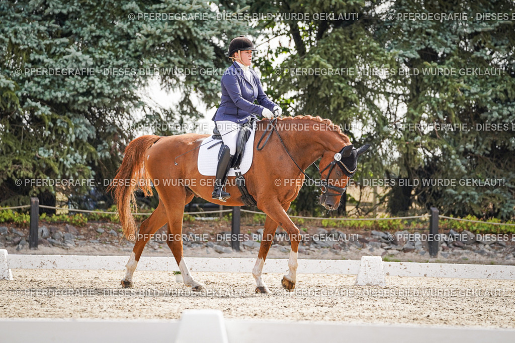 DSC07307 | Pferdegrafie