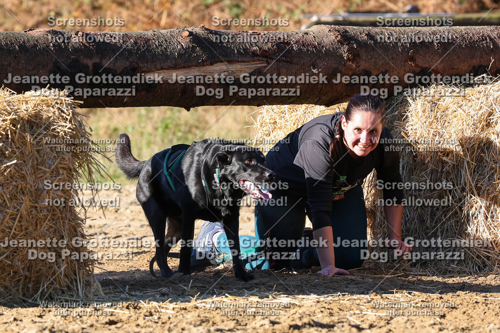 Dog Paparazzi - Strongdog 10-25-1734 | Dog Paparazzi Jeanette Grottendiek Fotografie & Videografie - Realisiert mit Pictrs.com