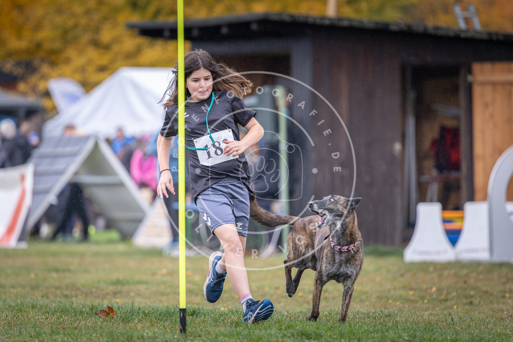 Pfotenfotografie_DV3A9647 | Hundefotografie, Tierfotograf, Pfotenfotografie, Fotoshooting Hund, Hunde Portrait, Hundesport, Hundeportraits, Heideshooting, Hunde, Sportfotograf, Hundefotograf, Turnierhundsport, THS,  - Realisiert mit Pictrs.com