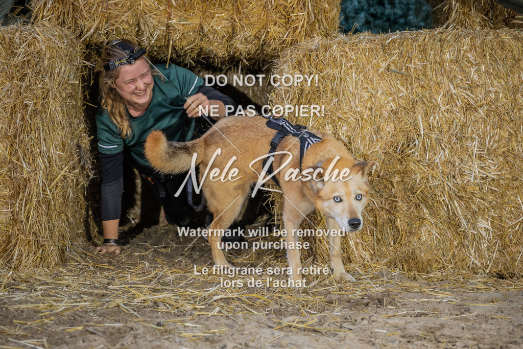 nelerasche_FrNacht_172 | nelerasche
