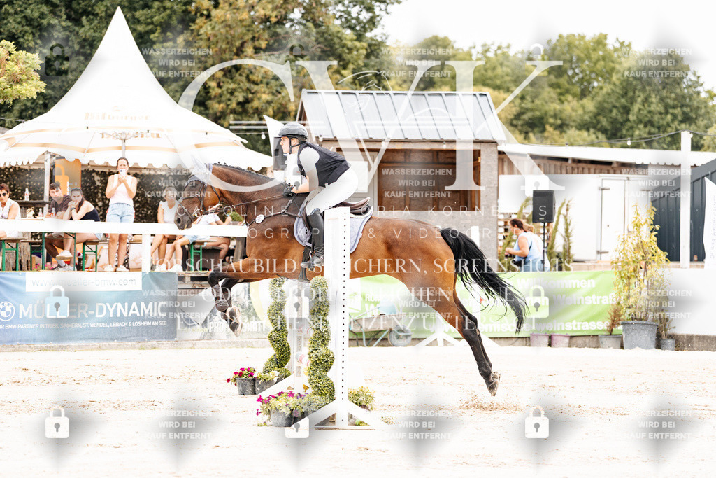 CK908026 | Turnierfotografie Pferdefotografie Trier Rheinland-Pfalz Pferdesport Reitsport Tierfotografie Sportfotografie Pferdevideo Pferdevideografie Equestrianvideography equestrianphotography  - Realisiert mit Pictrs.com