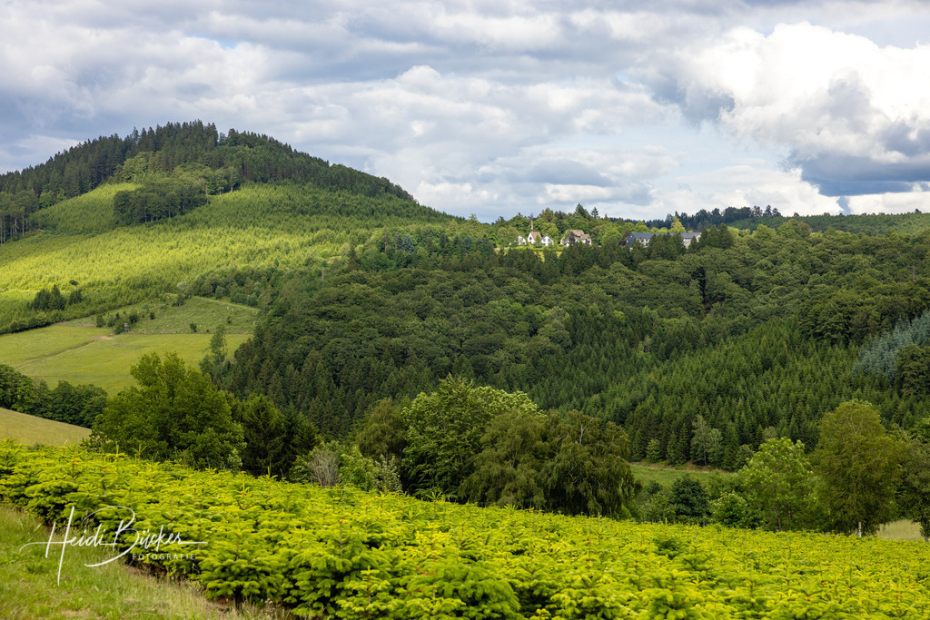 Westfeld und Umgebung 001 | Bilder und Impressionen zu jeder Jahreszeit aus dem Sauerland im Naturpark Sauerland-Rothaargebirge - Realisiert mit Pictrs.com