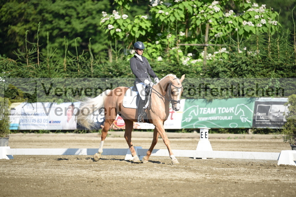 DSC_6983 | equestrian-live-com