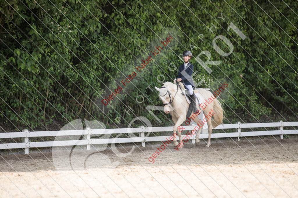 IMG_3763 | Sport-, Event- und Tierfotos in Profiqualität. Einfach auswählen, bestellen und herunterladen. Dein Moment – perfekt festgehalten.