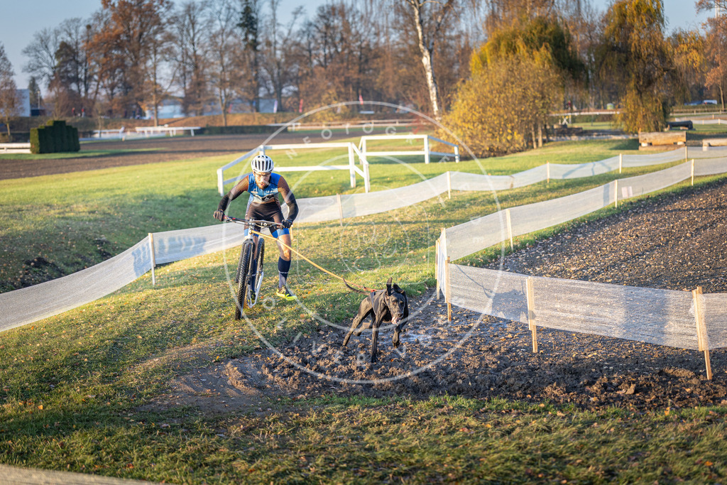 CaniXpix_DV3A9580 | Hundefotografie, Tierfotograf, Pfotenfotografie, Fotoshooting Hund, Hunde Portrait, Hundesport, Hundeportraits, Heideshooting, Hunde, Sportfotograf, Hundefotograf, Turnierhundsport, THS,  - Realisiert mit Pictrs.com