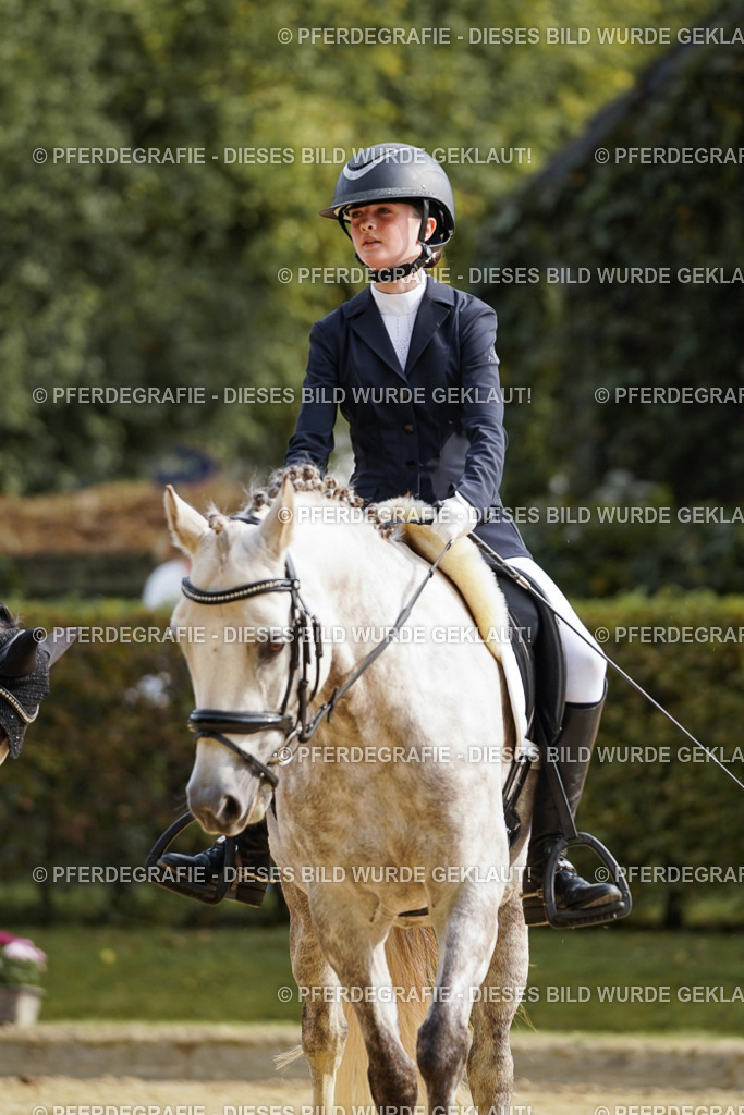 DSC04781 | Pferdegrafie