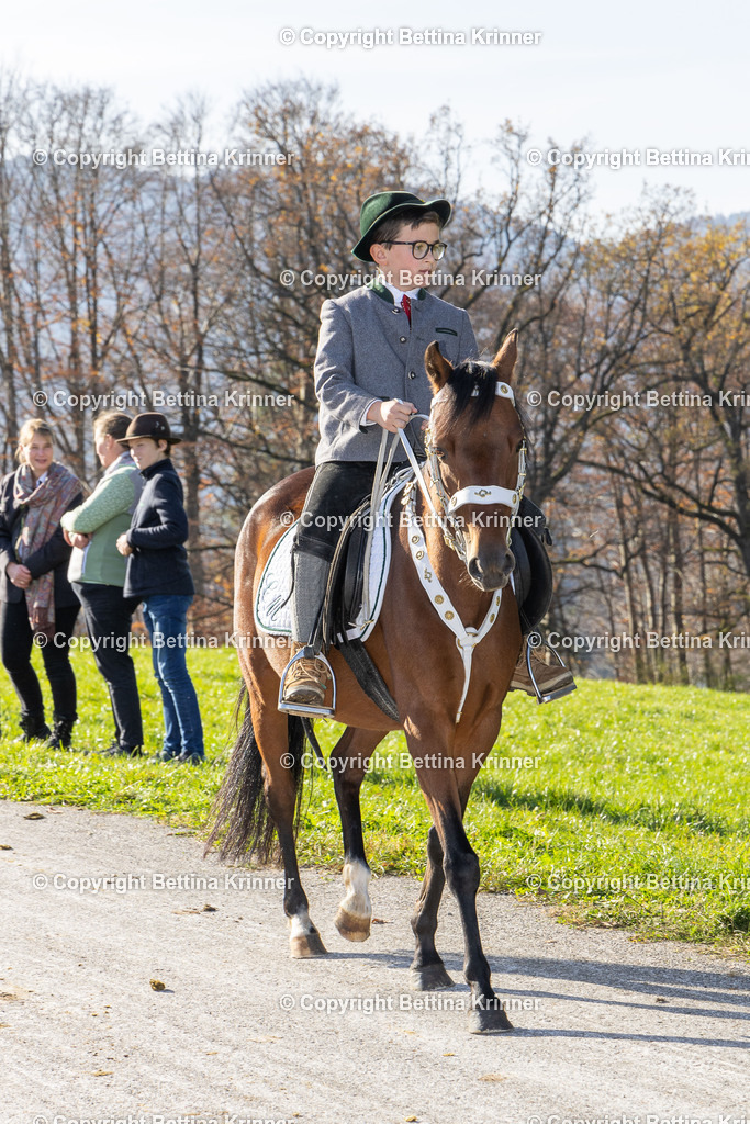 LBT24-1517 | foto-bettina-krinner - Realisiert mit Pictrs.com
