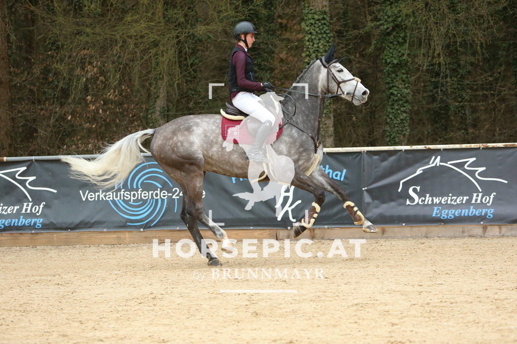 DL2Q3101 | Willkommen bei Brunnmayr - Design & Fotografie – Ihrem Spezialisten für Reitturniere und Pferdeveranstaltungen in Oberösterreich, Salzburg und Bayern! Seit über 17 Jahren sind wir leidenschaftlich dabei.