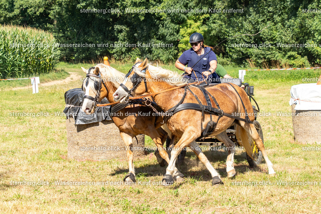 2026-08-08_14-45-54_WBO_Pulsnitz | sternberg.click - Realisiert mit Pictrs.com