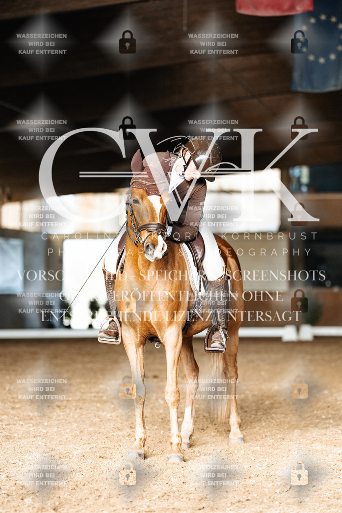 CK902967 | Turnierfotografie Pferdefotografie Trier Rheinland-Pfalz Pferdesport Reitsport Tierfotografie Sportfotografie Pferdevideo Pferdevideografie Equestrianvideography equestrianphotography  - Realisiert mit Pictrs.com