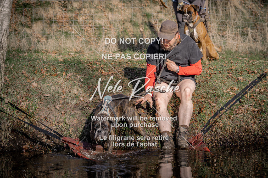 nelerasche_FS0900-1000_80 | nelerasche