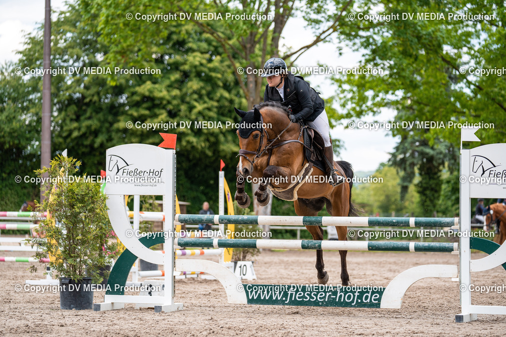 Eppelheim Tag 2-561 | dv-media-shop - Realisiert mit Pictrs.com