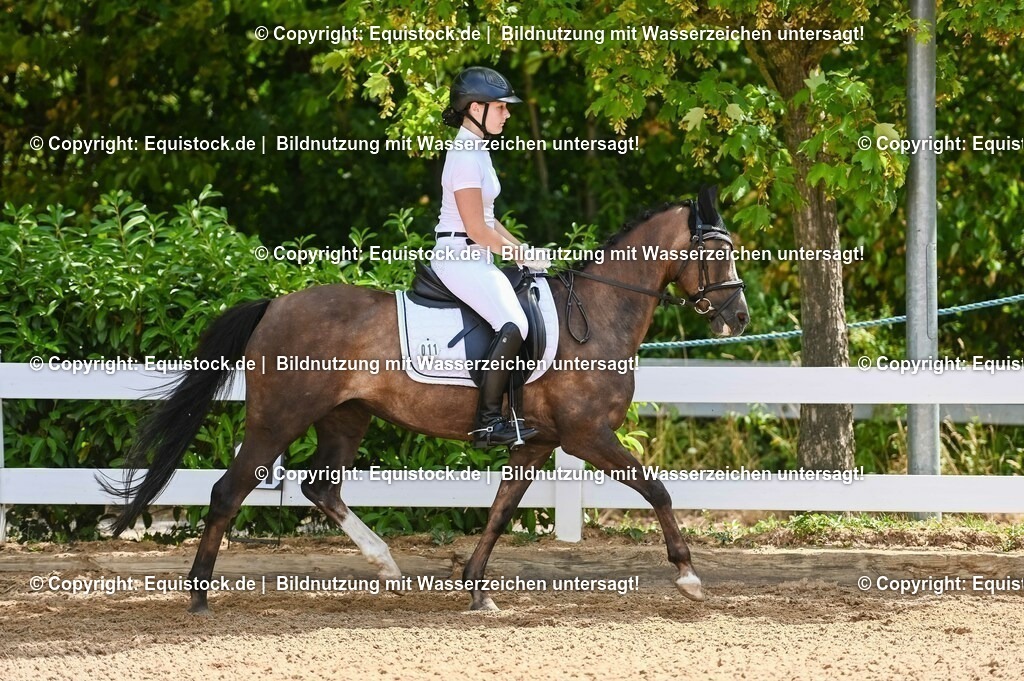 20230715_09_Dressur-WB_0118 | equistock