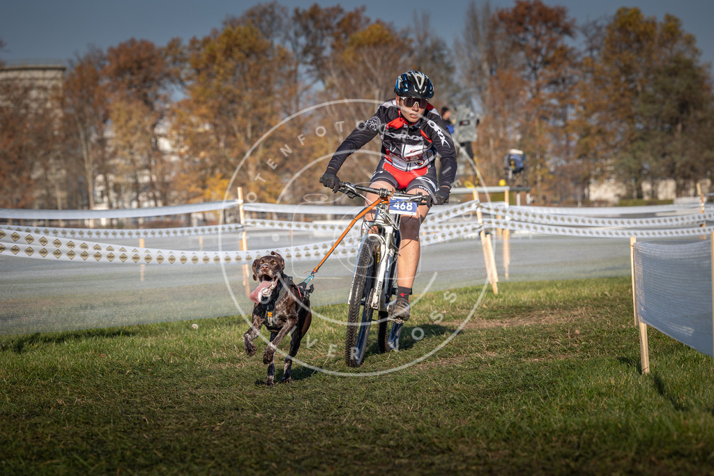 CaniXpix_0L8A4575 | Hundefotografie, Tierfotograf, Pfotenfotografie, Fotoshooting Hund, Hunde Portrait, Hundesport, Hundeportraits, Heideshooting, Hunde, Sportfotograf, Hundefotograf, Turnierhundsport, THS,  - Realisiert mit Pictrs.com