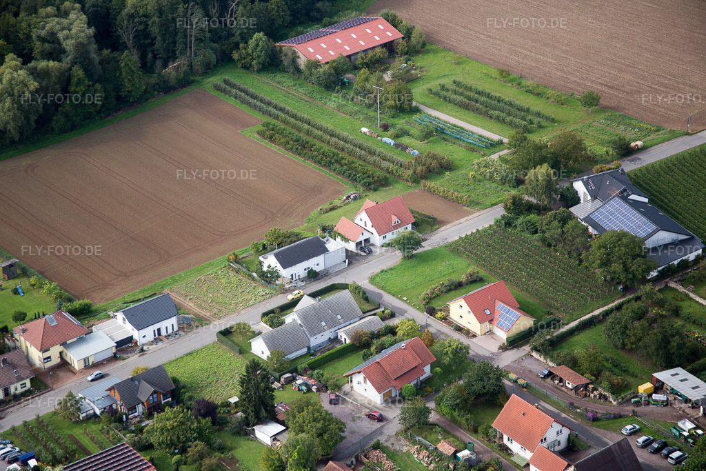 Luftbild: Am Pfarrgarten im Ortsteil Heuchelheim in Heuchelheim-Klingen im Bundesland Rheinland-Pfalz in Deutschland. Foto: IMG_072662.jpg vom 19.09.2014 durch Werner Riehm/FLY-FOTO.de