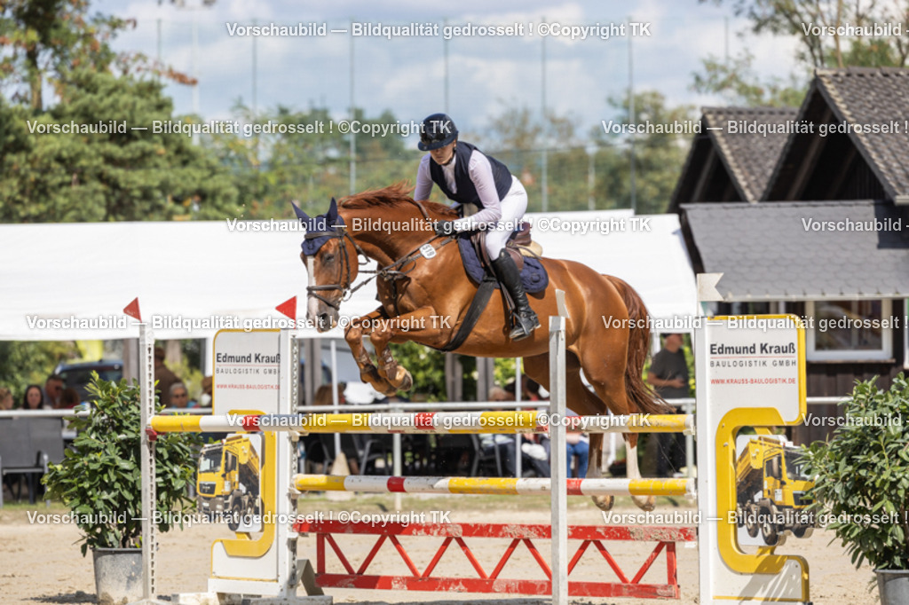 _D5A1384 | Emotionale Pferde- & People-Fotografie rund um Heidelberg, Leimen & Umgebung. Natürliche Fotos von Pferd, Mensch & Familie. Jetzt Termin sichern!