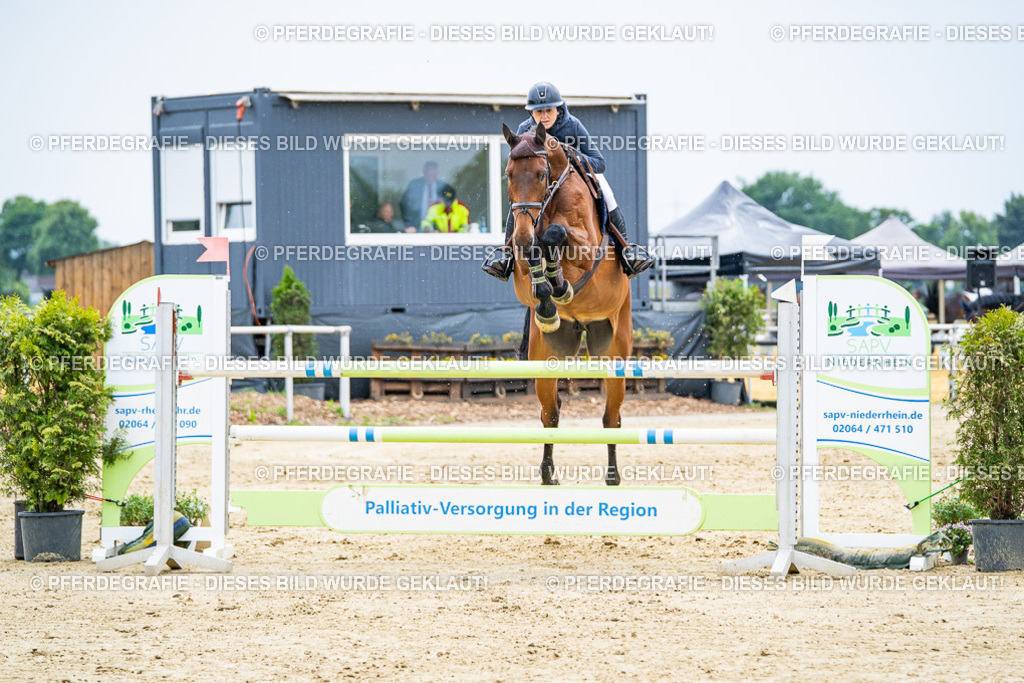 DSC06867 | Pferdegrafie