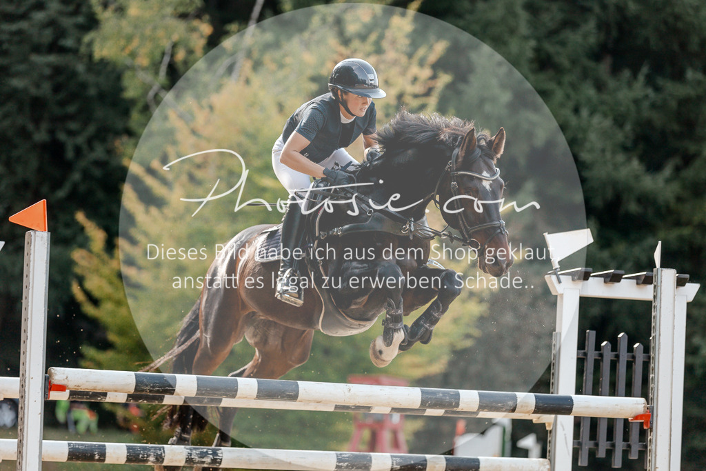 3I6A5057 | Stimmungsvolle Portraits und Reitsportfotografie im Ruhrgebiet und im Münsterland.

Pferdefotografie, Hundefotografie, Tierfotografie, Reportagen, Portraits von Tier und Mensch, Turnierfotografie in Bochum, Recklinghausen, Marl, Haltern am See, Dülmen.. - Realisiert mit Pictrs.com