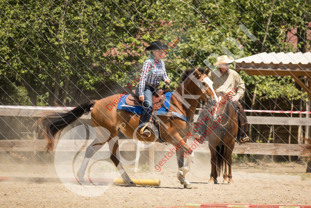 IMG_0273 | Sport-, Event- und Tierfotos in Profiqualität. Einfach auswählen, bestellen und herunterladen. Dein Moment – perfekt festgehalten.