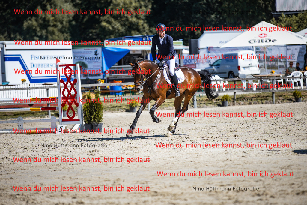 BK1A5568 | Turnierbilder Turnierfotos Nina Hüffmann Turnierfotografie Pferdefotografie Tierzeichnung Haustierzeichnung Pferdezeichnung Hundezeichnung Videograf  - Realisiert mit Pictrs.com