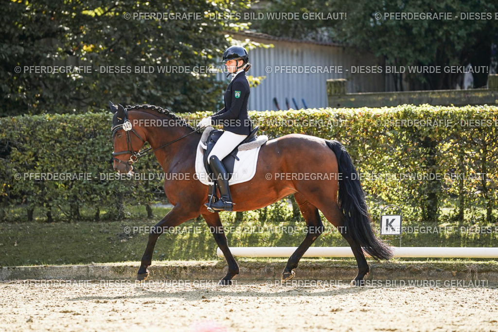 DSC07181 | Pferdegrafie