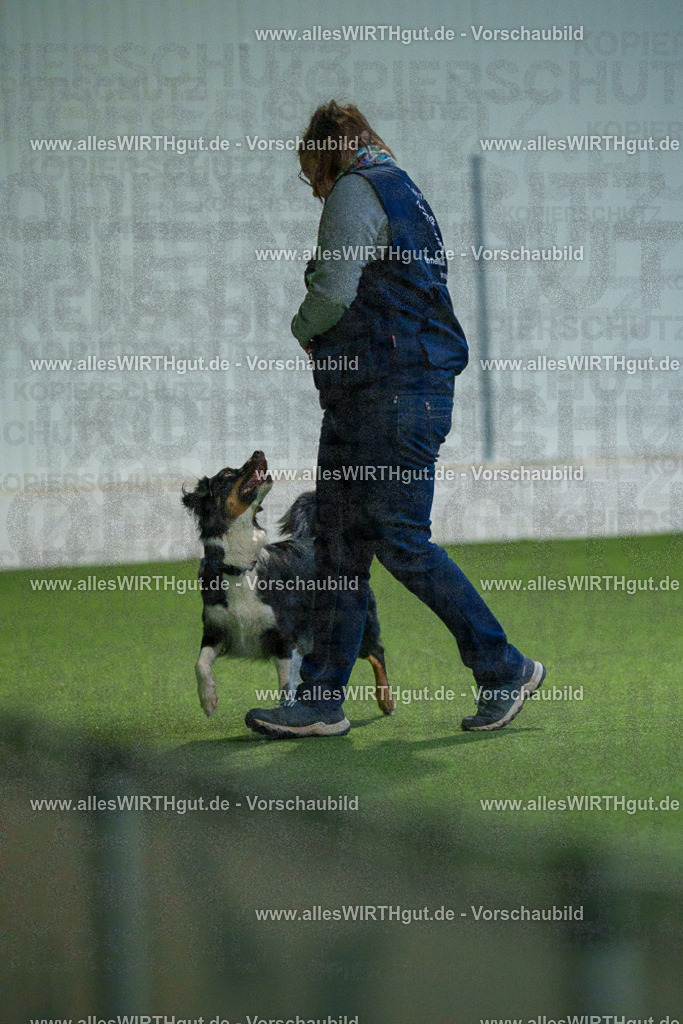 7R500608 | Professionelle Tierfotografie in Mönchengladbach von Daniel Wirth (allesWIRTHgut). Liebevolle & natürliche Bilder von Hunden & Katzen für unvergessliche Erinnerungen.