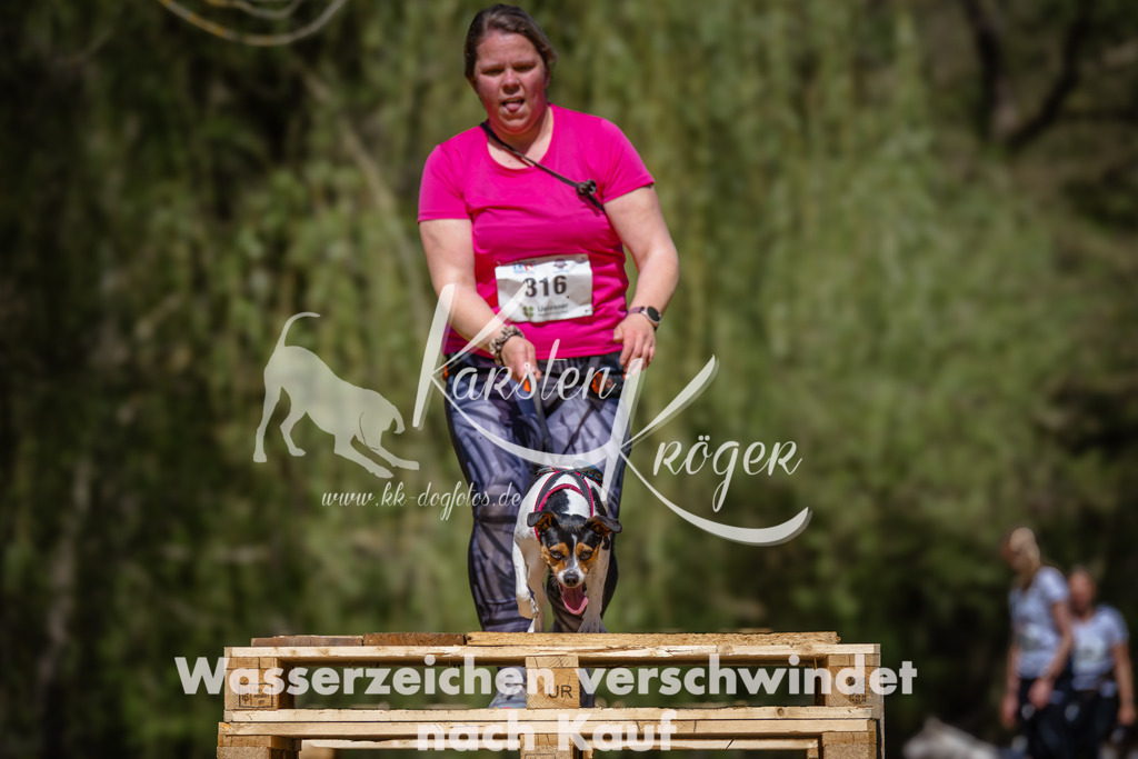 1242_ZZ93589 | kk-dogfotos