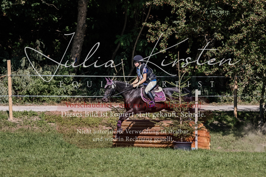 DSC_1925 | Pferde- und Turnierfotografie in Westsachsen. Pferdeportraits, Auftragszeichnungen und intuitive Kunst.