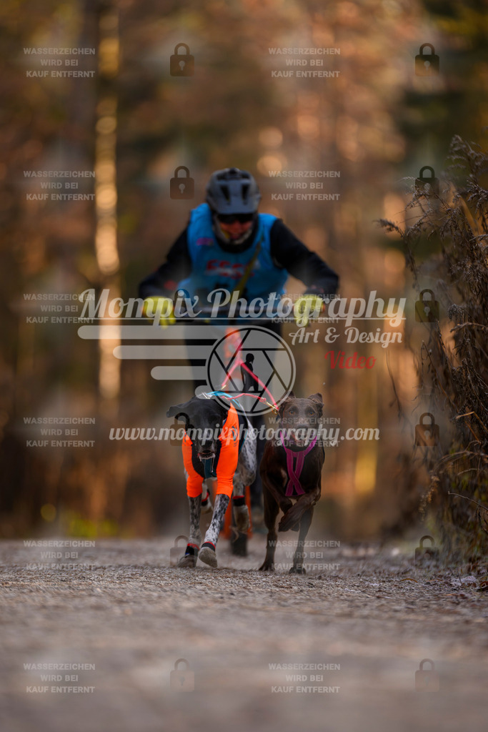 MompixPhotography_DM_AKDM_SO_2025_Scooter-26 | PayLife
