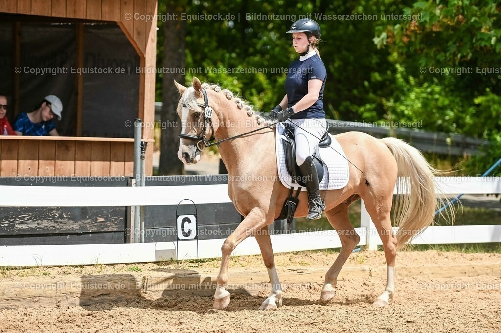 20230715_09_Dressur-WB_0518 | equistock