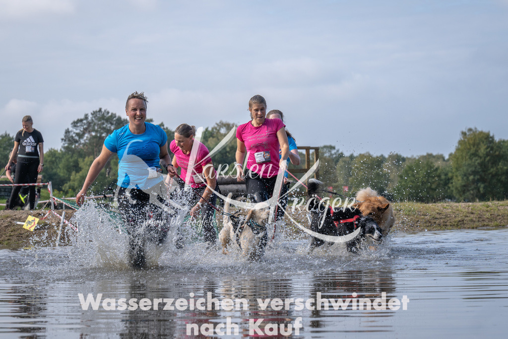 1138_ZZ93590 | kk-dogfotos