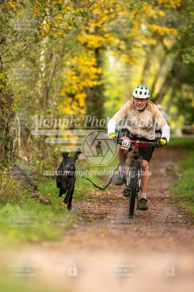 TSB_2023_E4_Bike-55 | PayLife