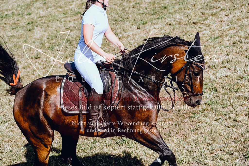 DSC_2006 | Pferde- und Turnierfotografie in Westsachsen. Pferdeportraits, Auftragszeichnungen und intuitive Kunst.