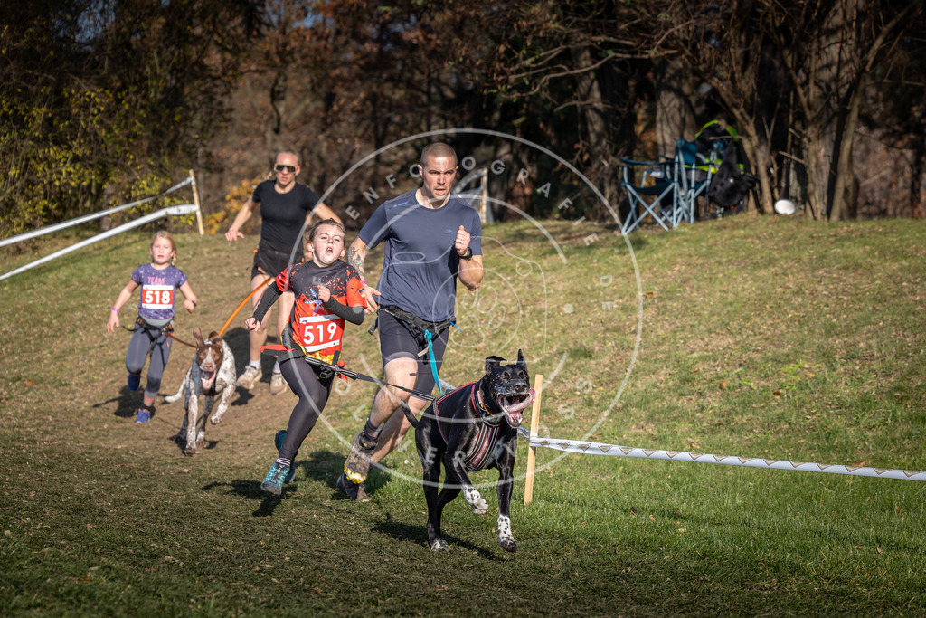 CaniXpix_0L8A8612 | Hundefotografie, Tierfotograf, Pfotenfotografie, Fotoshooting Hund, Hunde Portrait, Hundesport, Hundeportraits, Heideshooting, Hunde, Sportfotograf, Hundefotograf, Turnierhundsport, THS,  - Realisiert mit Pictrs.com